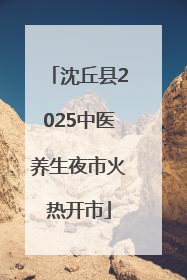 沈丘县2025中医养生夜市火热开市