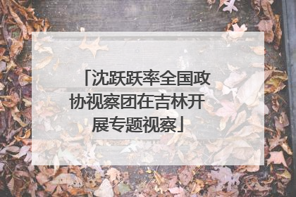沈跃跃率全国政协视察团在吉林开展专题视察