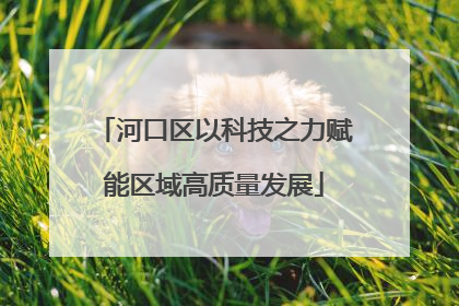 河口区以科技之力赋能区域高质量发展
