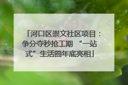 河口区崇文社区项目：争分夺秒抢工期 “一站式”生活圈年底亮相