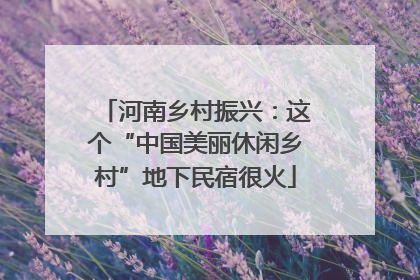 河南乡村振兴：这个“中国美丽休闲乡村”地下民宿很火