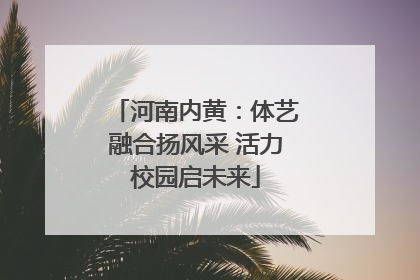 河南内黄：体艺融合扬风采 活力校园启未来