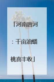 河南唐河：千亩油蟠桃喜丰收