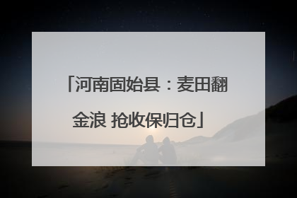 河南固始县：麦田翻金浪 抢收保归仓