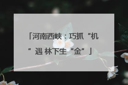 河南西峡：巧抓“机”遇 林下生“金”