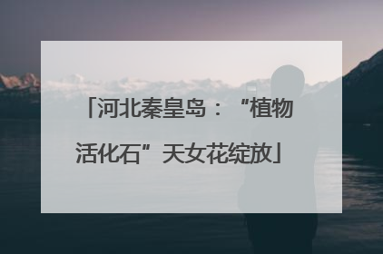 河北秦皇岛：“植物活化石”天女花绽放