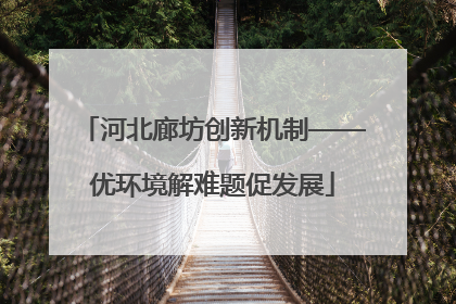 河北廊坊创新机制——优环境解难题促发展