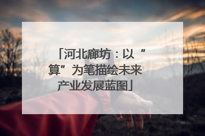 河北廊坊：以“算”为笔描绘未来产业发展蓝图