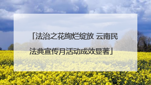法治之花绚烂绽放 云南民法典宣传月活动成效显著