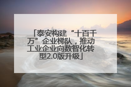 泰安构建“十百千万”企业梯队，推动工业企业向数智化转型2.0版升级