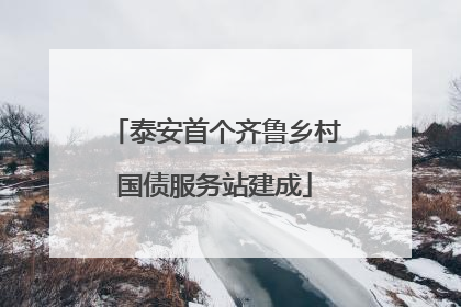 泰安首个齐鲁乡村国债服务站建成