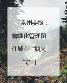 泰州姜堰：精细化管理留住城市“烟火气”