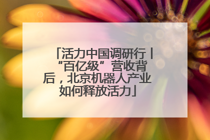 活力中国调研行丨 “百亿级”营收背后，北京机器人产业如何释放活力