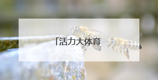活力大体育 健康伴成长