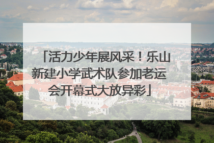 活力少年展风采！乐山新建小学武术队参加老运会开幕式大放异彩