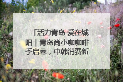 活力青岛 爱在城阳｜青岛尚小咖咖啡季启幕，中韩消费新场景点燃夏日热情
