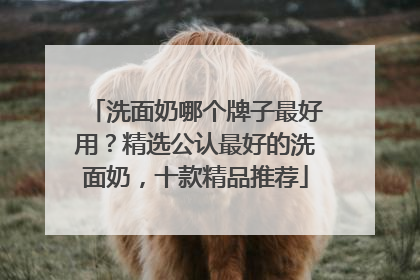 洗面奶哪个牌子最好用？精选公认最好的洗面奶，十款精品推荐
