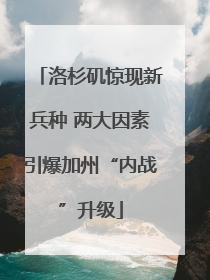洛杉矶惊现新兵种 两大因素引爆加州“内战”升级