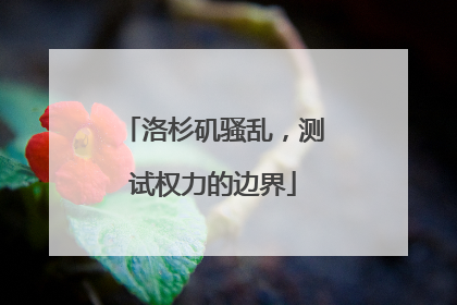 洛杉矶骚乱，测试权力的边界