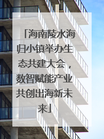 海南陵水海归小镇举办生态共建大会，数智赋能产业共创出海新未来