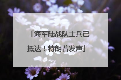 海军陆战队士兵已抵达！特朗普发声