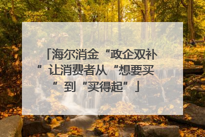 海尔消金“政企双补”让消费者从“想要买”到“买得起”