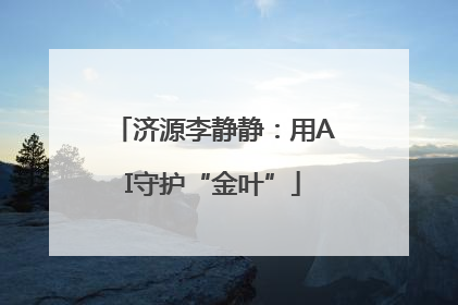 济源李静静：用AI守护“金叶”