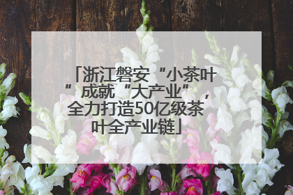 浙江磐安“小茶叶”成就“大产业”，全力打造50亿级茶叶全产业链