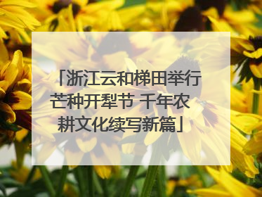 浙江云和梯田举行芒种开犁节 千年农耕文化续写新篇
