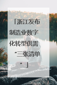 浙江发布制造业数字化转型供需“三张清单”