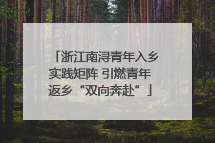 浙江南浔青年入乡实践矩阵 引燃青年返乡“双向奔赴”