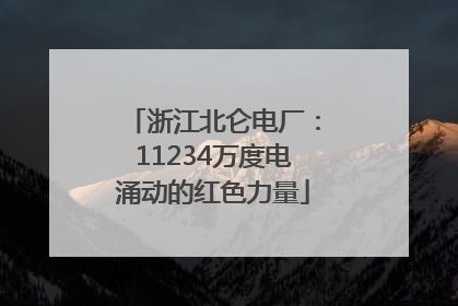 浙江北仑电厂：11234万度电涌动的红色力量