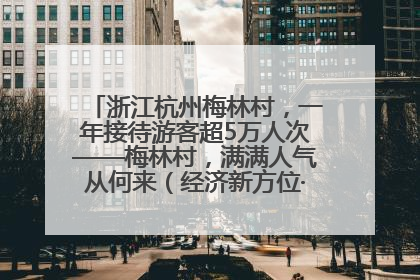 浙江杭州梅林村，一年接待游客超5万人次——梅林村，满满人气从何来（经济新方位·农村消费观察）