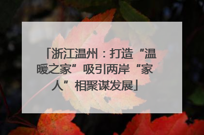 浙江温州：打造“温暖之家”吸引两岸“家人”相聚谋发展