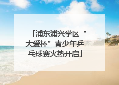 浦东浦兴学区“大爱杯”青少年乒乓球赛火热开启