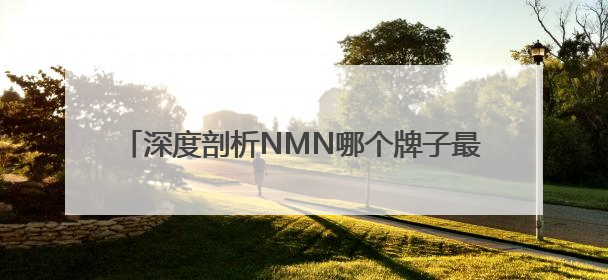 深度剖析NMN哪个牌子最好，2025年十大NMN品牌排行，NMN该怎么选