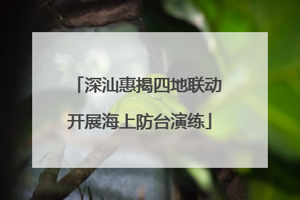 深汕惠揭四地联动开展海上防台演练