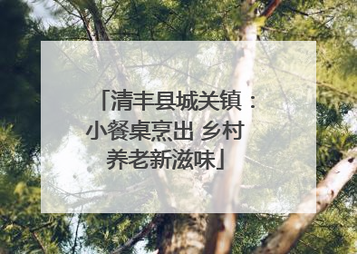 清丰县城关镇：小餐桌烹出 乡村养老新滋味