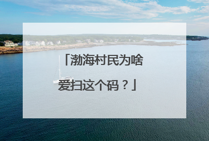 渤海村民为啥爱扫这个码？