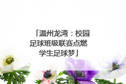 温州龙湾：校园足球班级联赛点燃学生足球梦