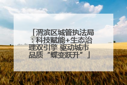渭滨区城管执法局：科技赋能+生态治理双引擎 驱动城市品质“蝶变跃升”