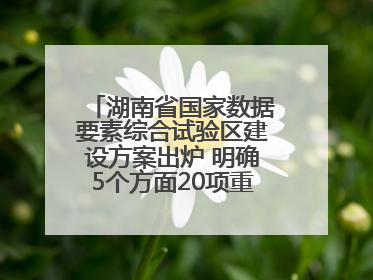 湖南省国家数据要素综合试验区建设方案出炉 明确5个方面20项重点任务