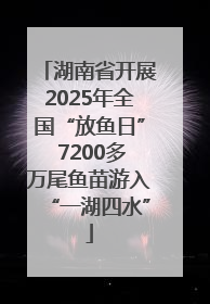 湖南省开展2025年全国“放鱼日” 7200多万尾鱼苗游入“一湖四水”