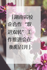 湖南省校企合作“双进双转”工作推进会在衡阳召开