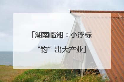 湖南临湘：小浮标“钓”出大产业
