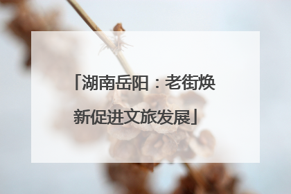 湖南岳阳：老街焕新促进文旅发展