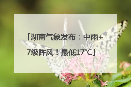 湖南气象发布：中雨+7级阵风！最低17℃