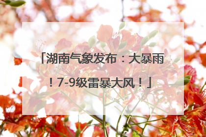 湖南气象发布：大暴雨！7-9级雷暴大风！