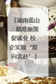 湖南蓝山：精准施策促就业 校企实现“双向奔赴”