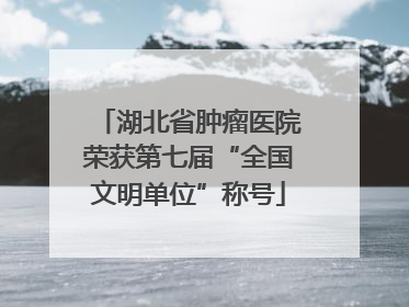 湖北省肿瘤医院荣获第七届“全国文明单位”称号